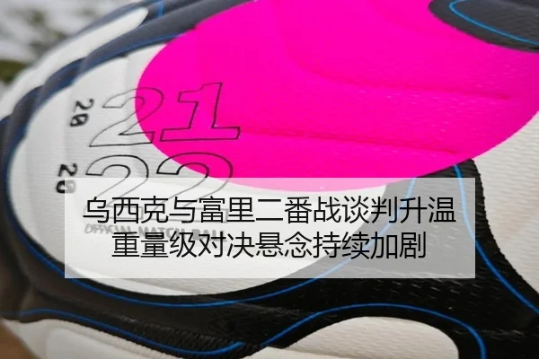 乌西克与富里二番战谈判升温 重量级对决悬念持续加剧